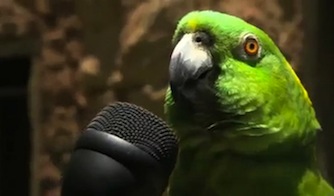 Amazona parlante